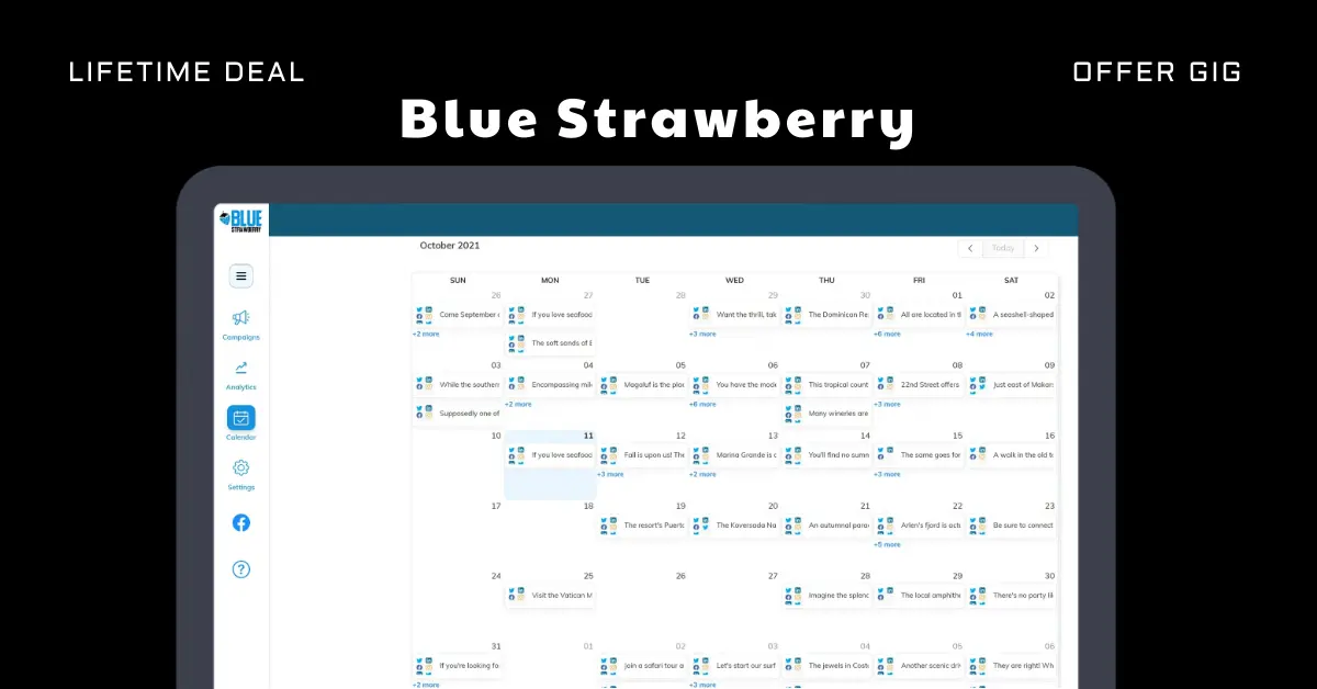 Read more about the article Blue Strawberry Lifetime Deal | Social Media Management Tool